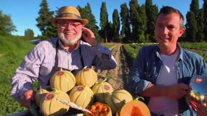 Terroir : le melon de Cavaillon