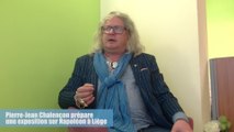 Pierre-Jean Chalençon: son projet d'exposition à Liège sur Napoléon