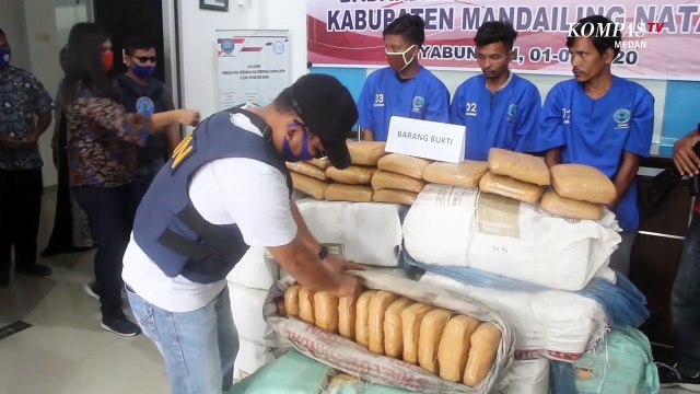 Pelaku Ungkap Peran Mereka dalam Peredaran Ganja 300 Kg