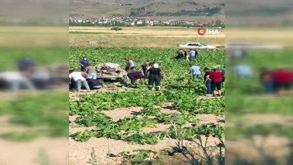 Yoldan çıkan otomobil kabak tarlasına uçtu: 6 yaralı
