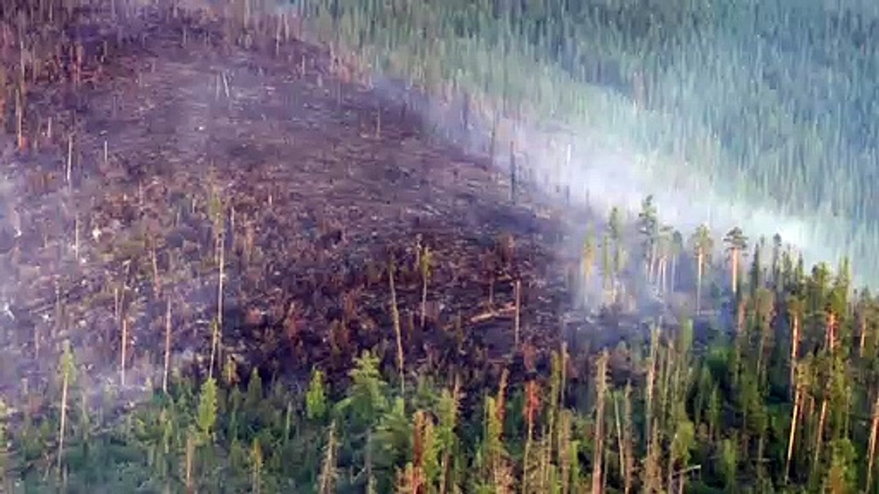 Rekordtemperaturen in Sibirien: Waldbrände wüten weiter