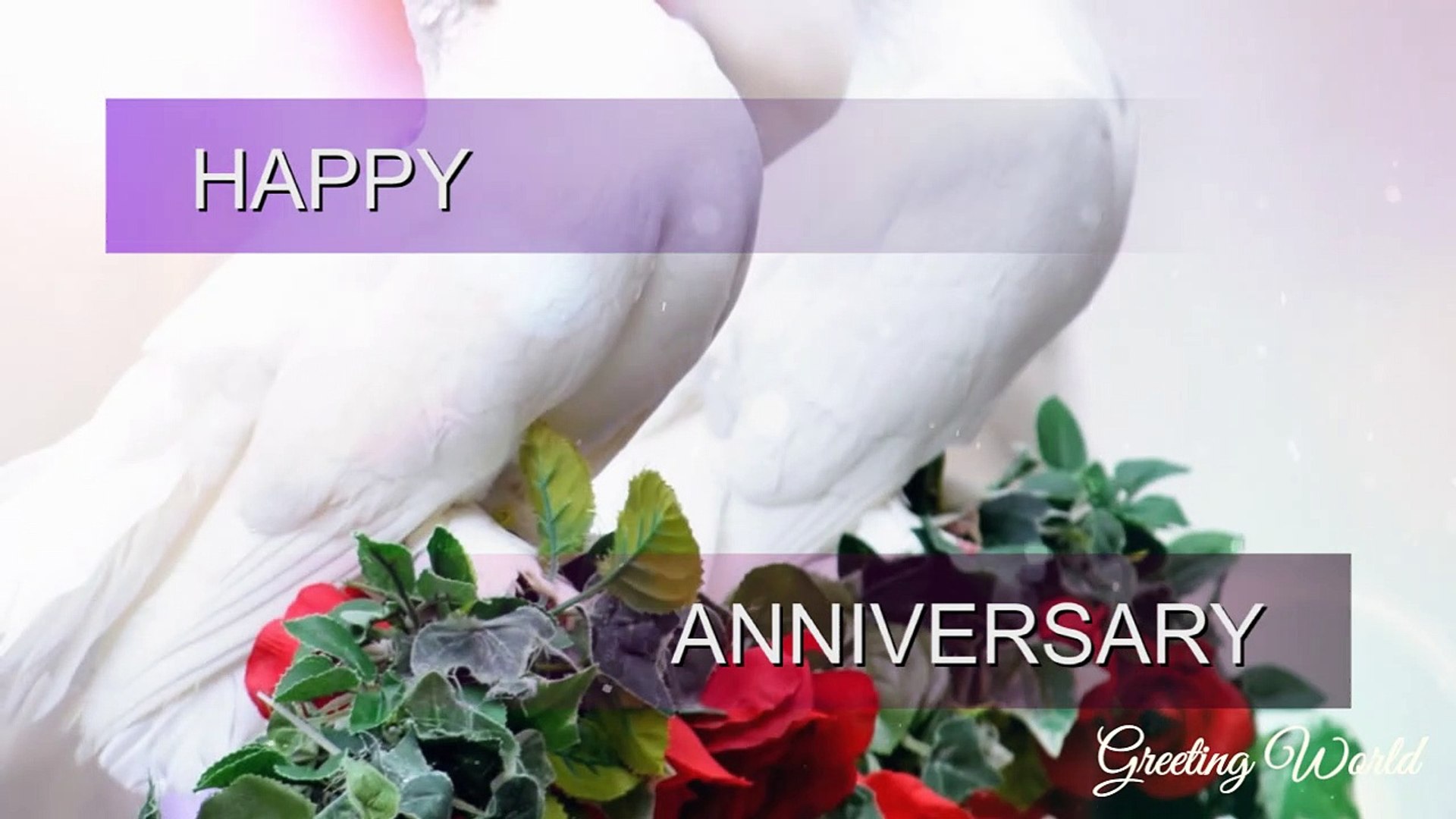Best Happy Wedding Anniversary Wishes Video Greeting Marriage Anniversary Video Dailymotion