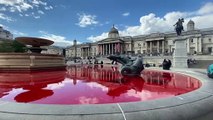 Hayvan hakları aktivistleri, Trafalgar Meydanı'ndaki havuzları boyayla kırmızıya çevirdi - LONDRA