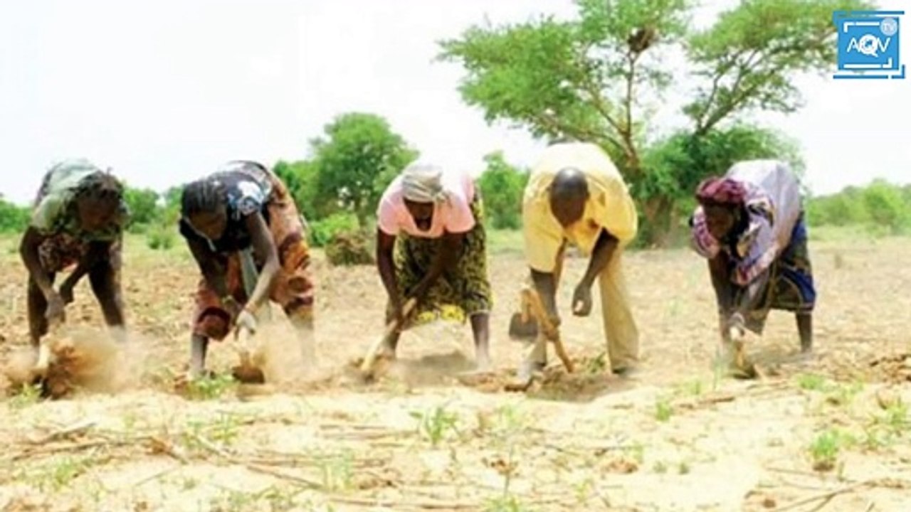 Actu Week La mort de deux gazelles oryx crée la polémique au Sénégal Au Sénégal, plusieurs activistes appellent à la démission du ministre de l'environnement Abdou Karim Sall.