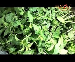 Pudina(Mint)-Health benefits of the most popular herb-Digestion,Cough,Fever,Cholera-