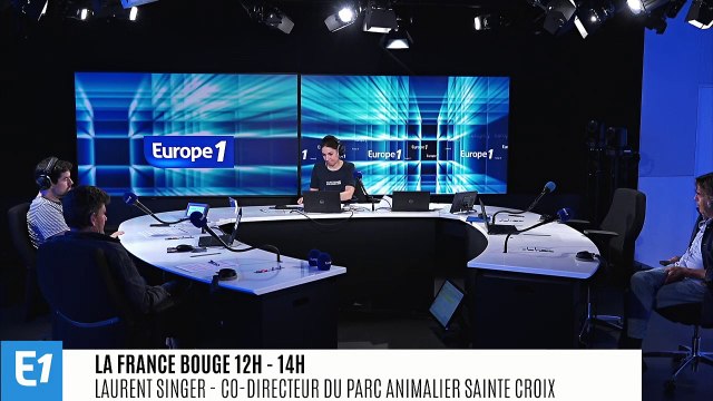 Dormir au dessus du vide ou au milieu des animaux : comment voyager différemment cet été