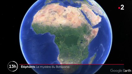 Eléphants : le mystère du Botswana