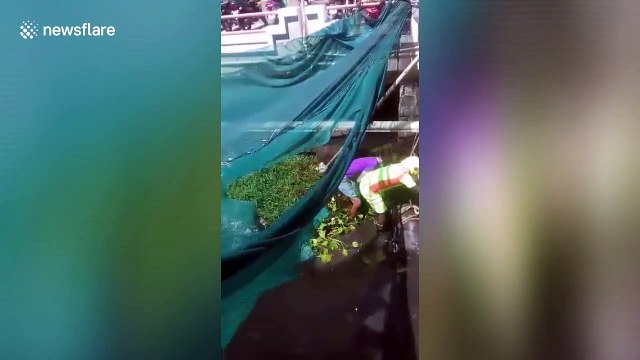 Cow rescued by firefighters after being trapped in storm drain for 2 hours in southern India