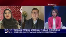 Corona Belum Usai, Pemerintah Waspadai Flu Babi Baru