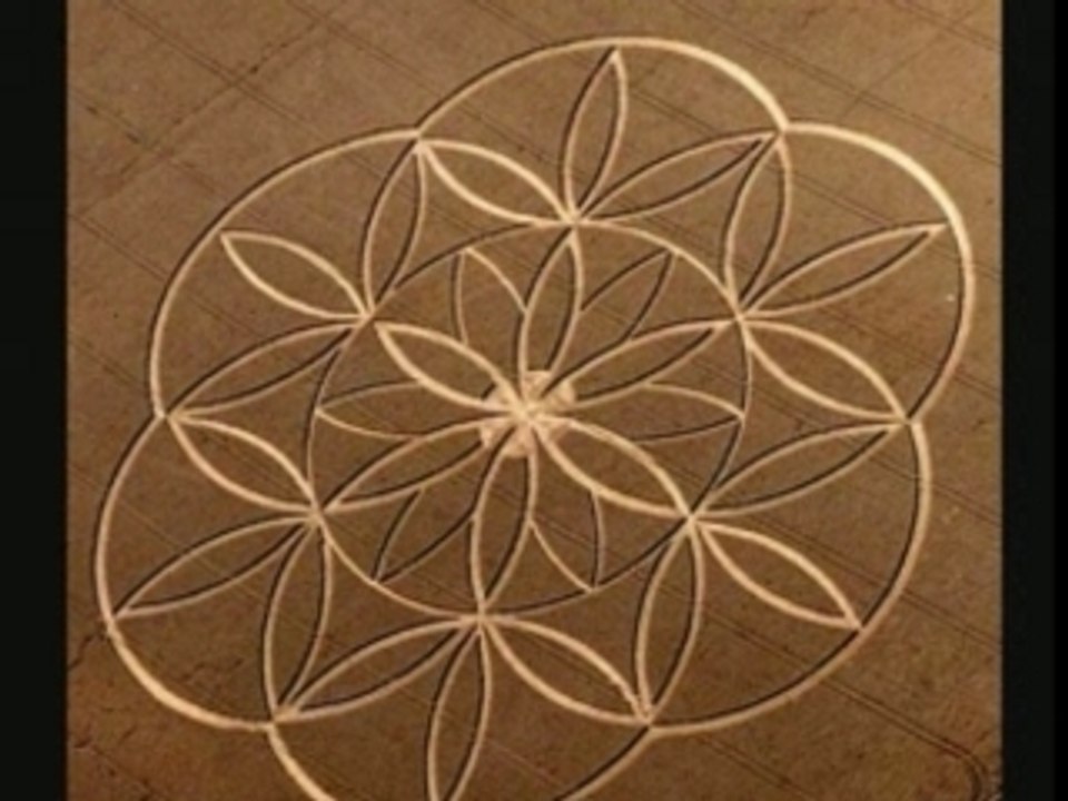 Crop circle - Cercle de culture