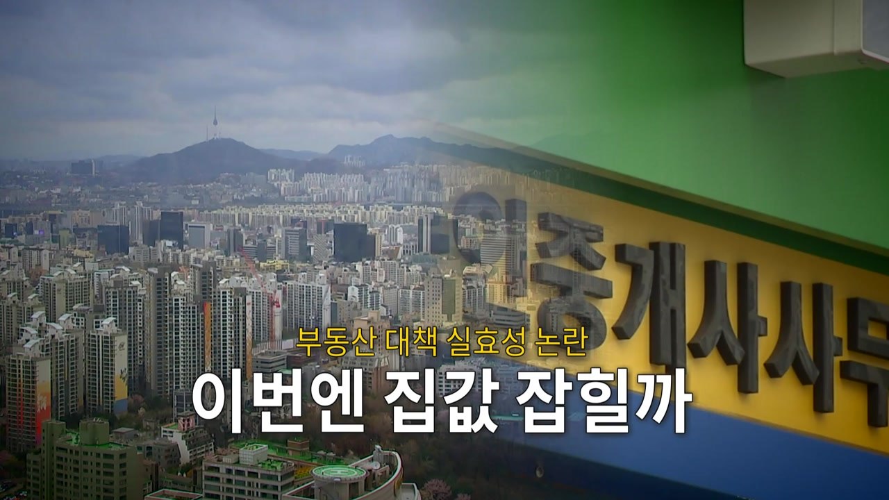 [영상] 부동산 대책 실효성 논란...이번엔 집값 잡힐까 / YTN