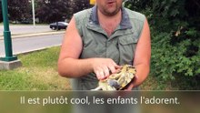 Turtle_FR