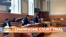 Migrants exploited harvesting grapes in France's Champagne region, court hears