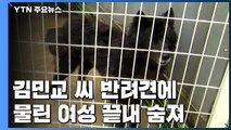 배우 김민교 씨 반려견에 물린 80대 여성 두 달 만에 숨져 / YTN
