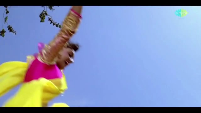 Hum Teri Mohabbat Mein Yun Pagal Rehte Hain Kumar Sanu