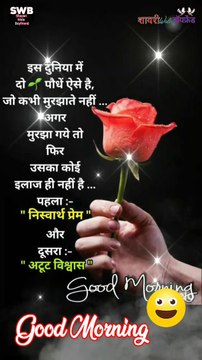 Fullscreen WhatsApp Status Video | Good Morning Status | Shayari Status | good morning shayari video