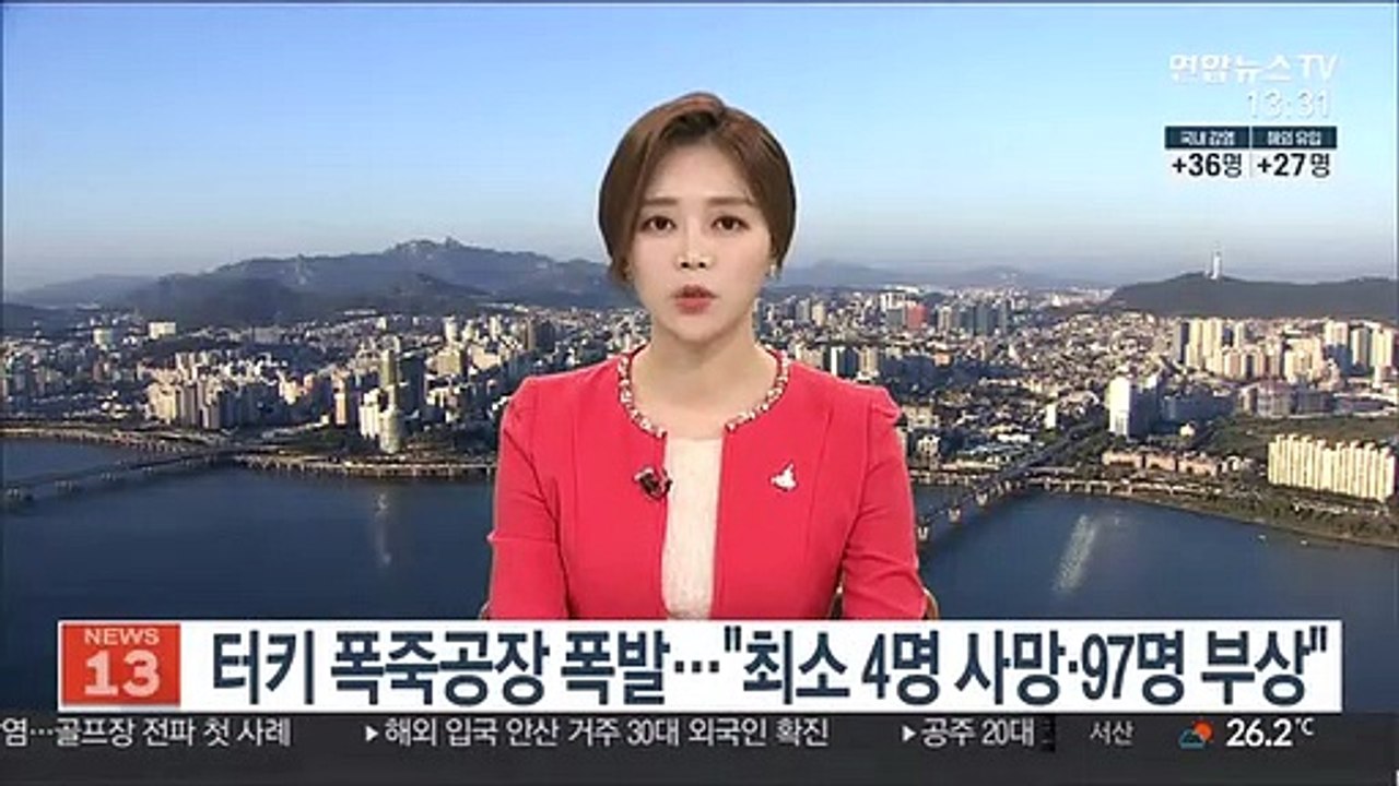 터키 폭죽공장 폭발…"최소 4명 사망·97명 부상"