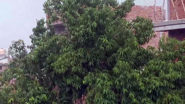 कानपुर में बारिश शुरू, गर्मी से मिली बड़ी राहत