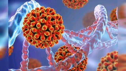 Symptoms of jaundice in marathi