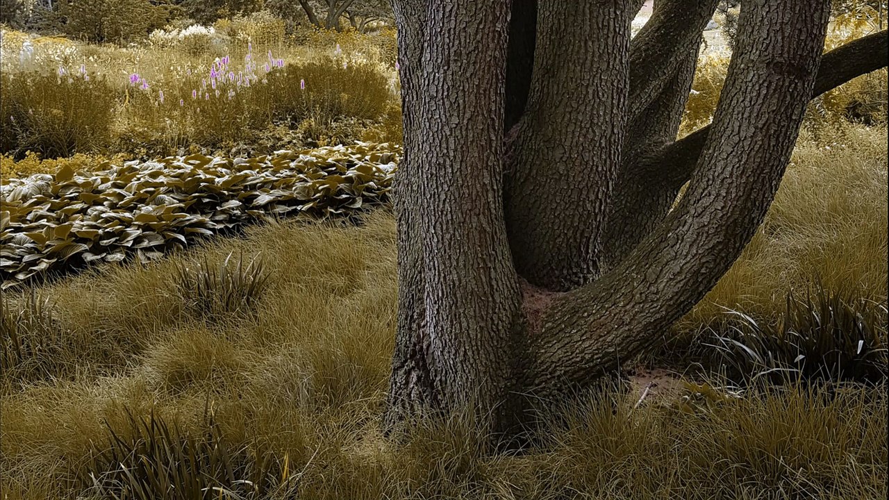 Gunnar Mozer, Holzskulpturen II