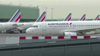 에어프랑스 7천580명 감원..."코로나로 매출 95% 감소" / YTN