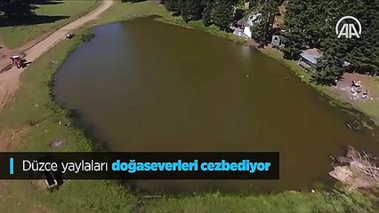 Düzce yaylaları doğaseverleri cezbediyor