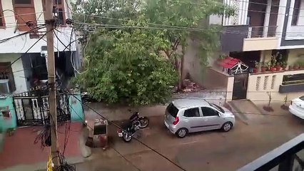 राजधानी जयपुर में  तेज आंधी के साथ बारिश