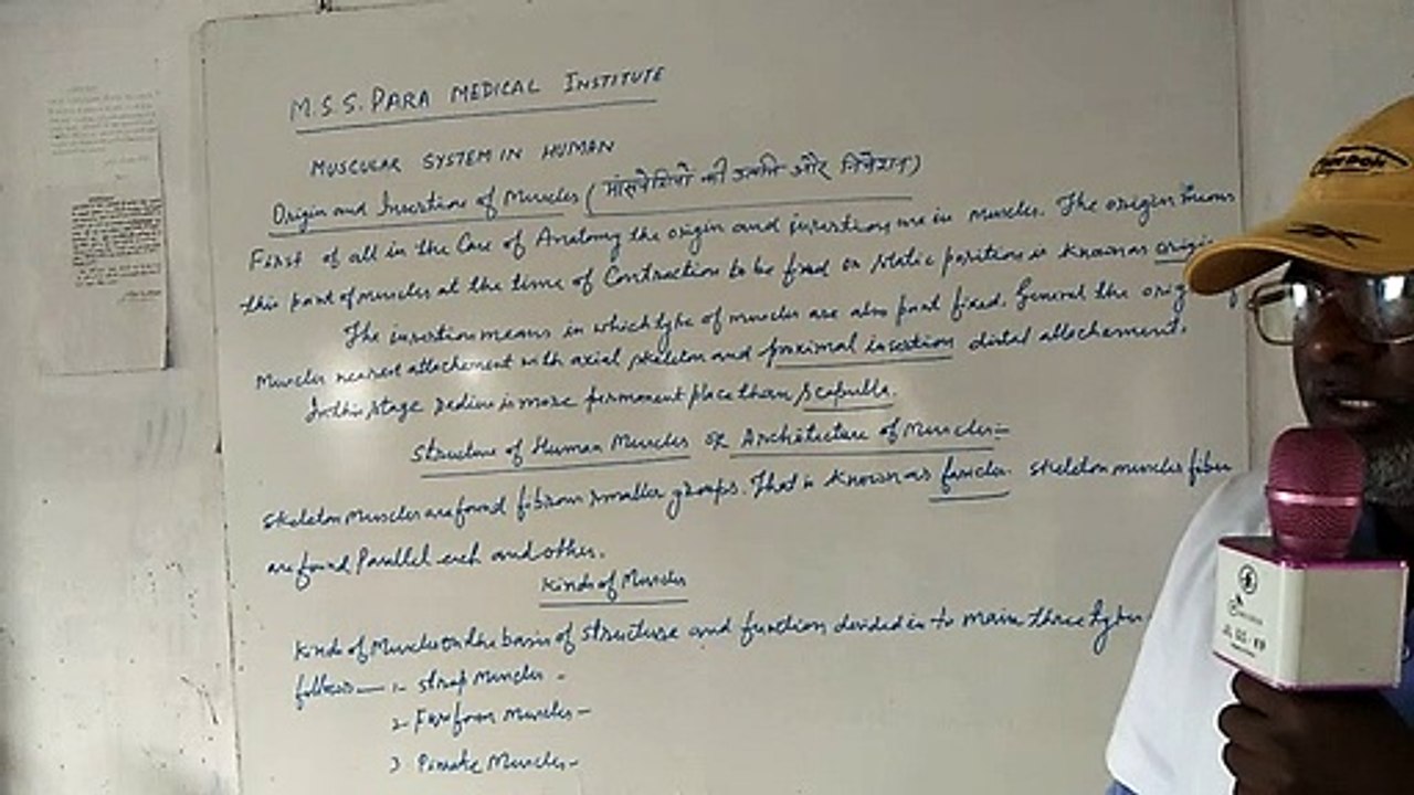 Paramedical-2