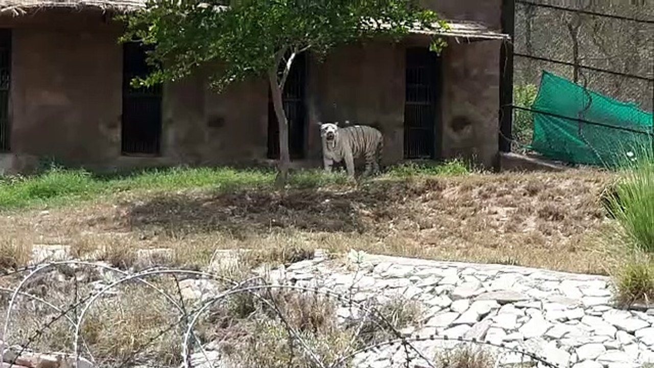 Nahargarh Bio Park  को फिर से आबाद करने के प्रयास