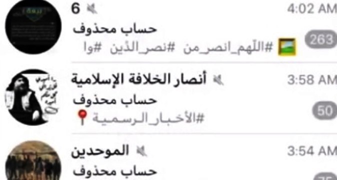 Siti web istruivano terroristi: la Polizia Postale fa pulizia sulla Rete (04.07.20)