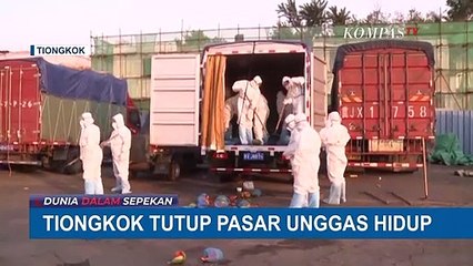 Download Video: Terkait Penyebaran Virus Corona, China Akan Tutup Pasar Unggas Hidup