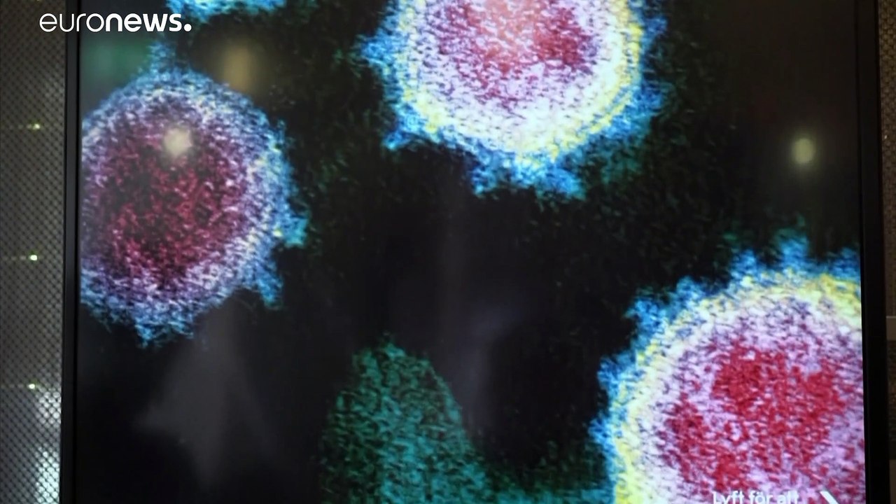 'Contagious' - eine Ausstellung will Hoffnung machen