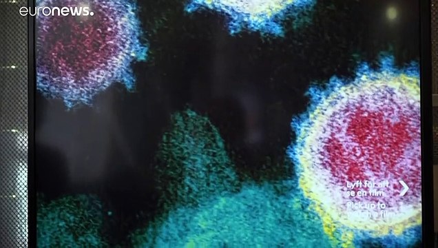 Nobel Prize museum reopens with exhibition about pandemics