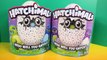 Hatchimals Blue And Green Interacting Dancing Hatching Eggs Who will you hatch