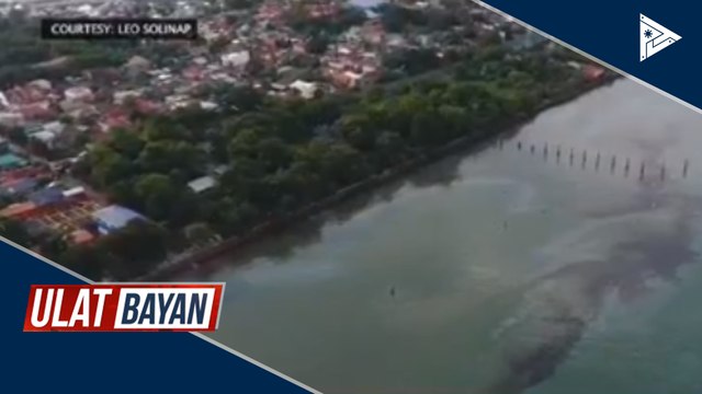 PCG, magsasampa ng kaso vs. M/V Vienna Wood