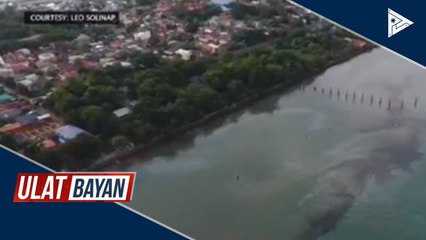 PCG, magsasampa ng kaso vs. M/V Vienna Wood