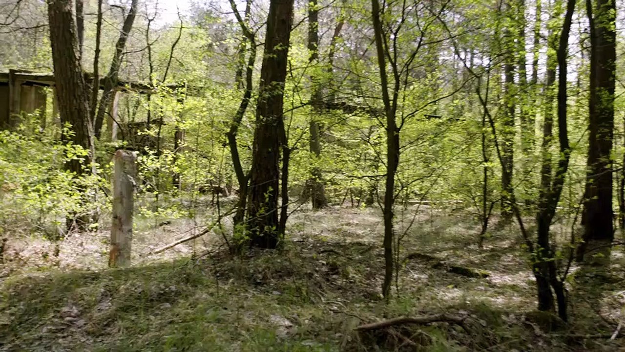 Le basi segrete dei nazisti St.01x05 - Dag Bromberg