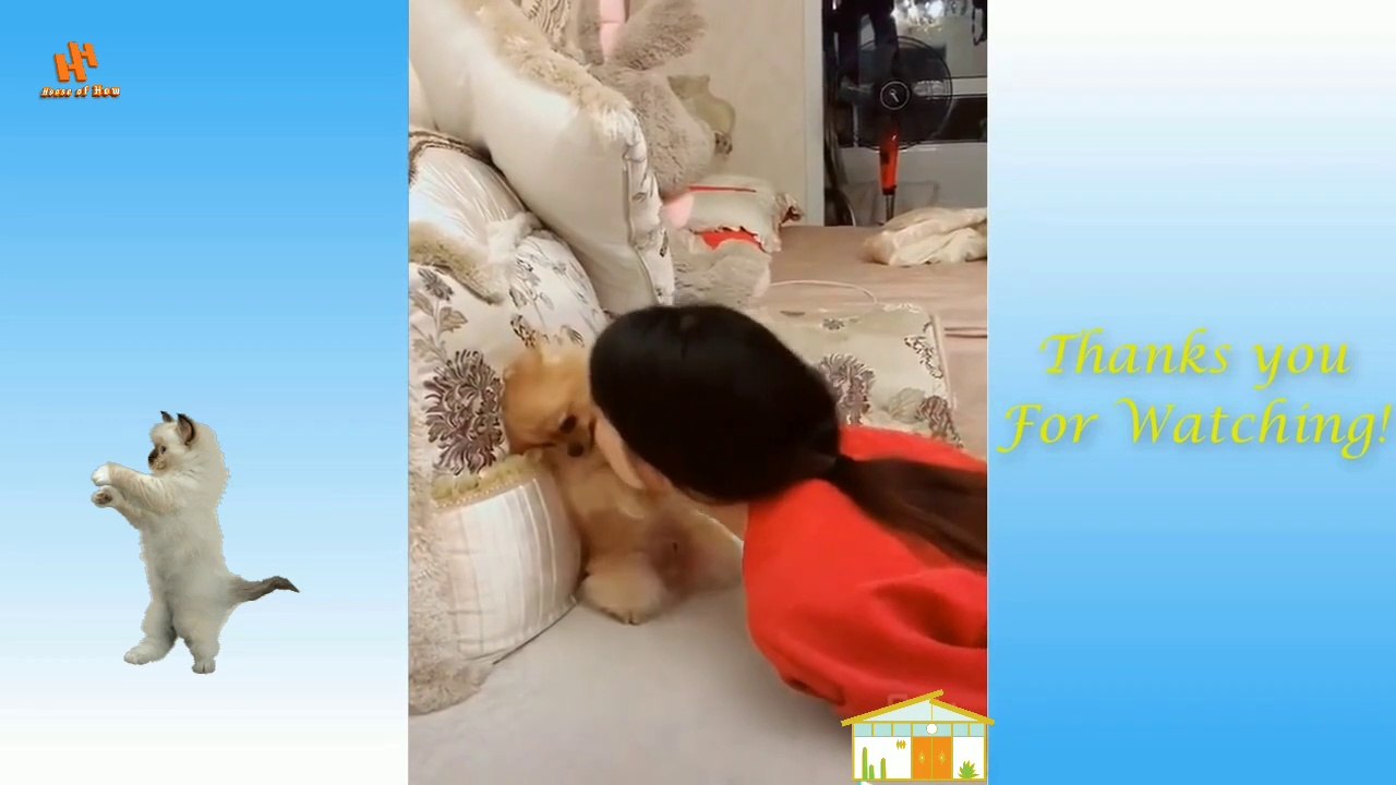 Cute and Funny Pets ll Lovely Animals Video ll Like to kiss them