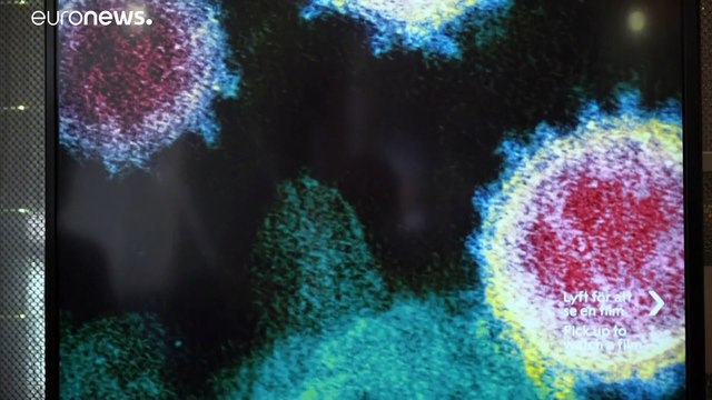 Exposition : les pandémies vues au travers de l'art et de la littérature