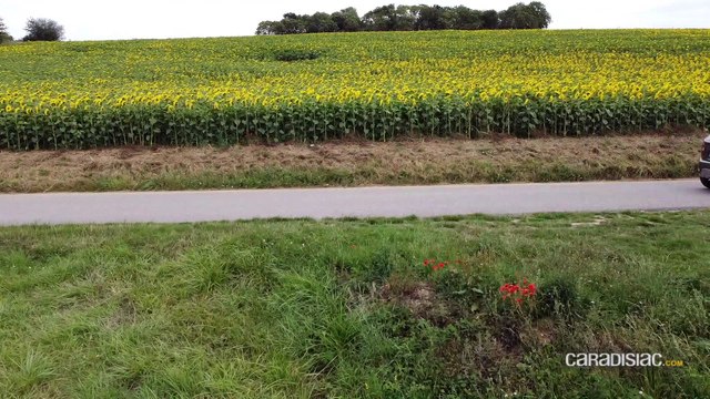 Suzuki Ignis 2020 : l’urbaine en chaussures de rando