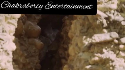 Lion hunt a baby Bull and monkey rescue a mouse from black Cobra