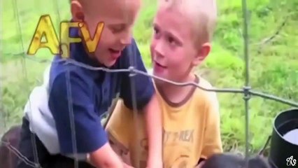 #VIDEOS GRACIOSOS/ DIVERTIDOS  #2