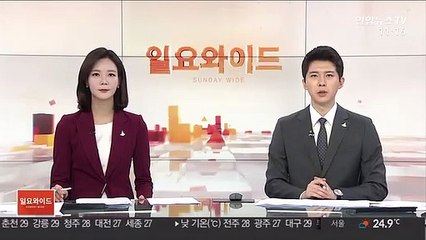 美 비건, 이번주 사흘간 방한 뒤 일본 방문할 듯