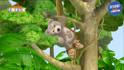 Ayıcık Bombo - Bombo Büyümek İstiyor