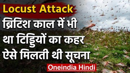 Locust Attack: British काल में टिड्डीयों के हमले की सूचना देते थे Postcards | वनइंडिया हिंदी
