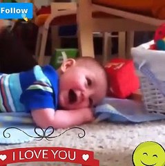 Funny videos | pets and baby  funny videos