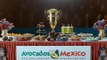 Avocados From Mexico Top Dog  Super Bowl Commercial 2019