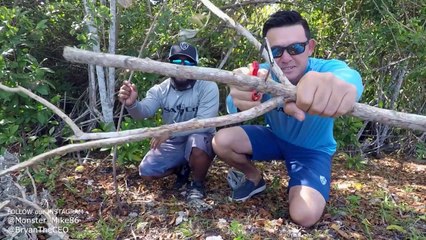 How To Make a Fish SNARE TRAP DIY