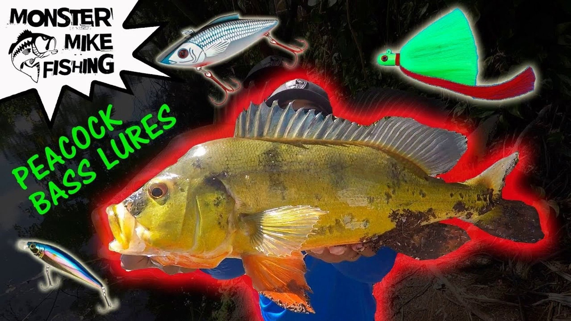 Peacock Bass Fishing on Artificial Lures - video Dailymotion