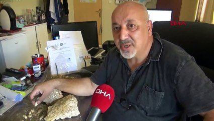Son dakika: Muş'ta 50 milyon yıllık fosiller bulundu | Video